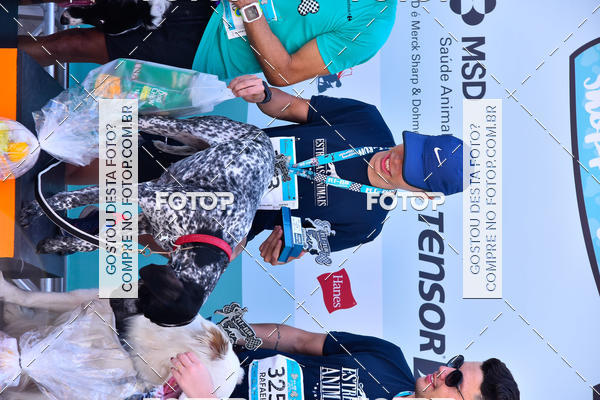 Buy your photos of the event2� Pet Run Shopping Eldorado  on Fotop