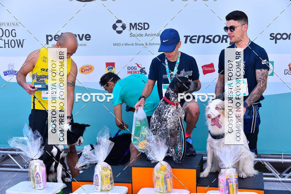 Buy your photos of the event2� Pet Run Shopping Eldorado  on Fotop