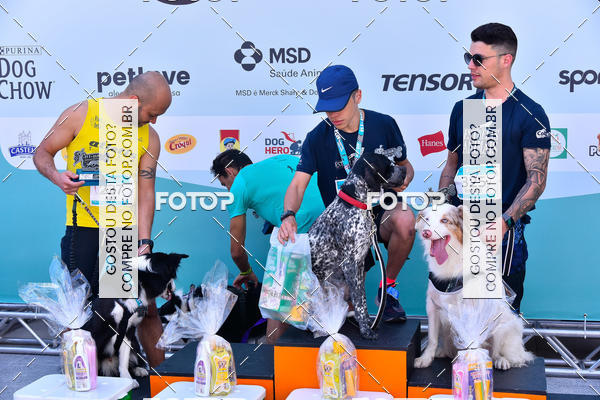 Buy your photos of the event2� Pet Run Shopping Eldorado  on Fotop