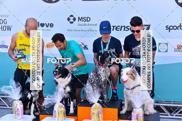Buy your photos of the event2� Pet Run Shopping Eldorado  on Fotop