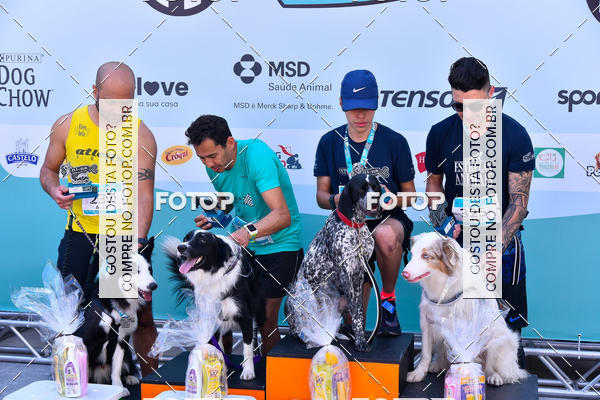 Buy your photos of the event2� Pet Run Shopping Eldorado  on Fotop