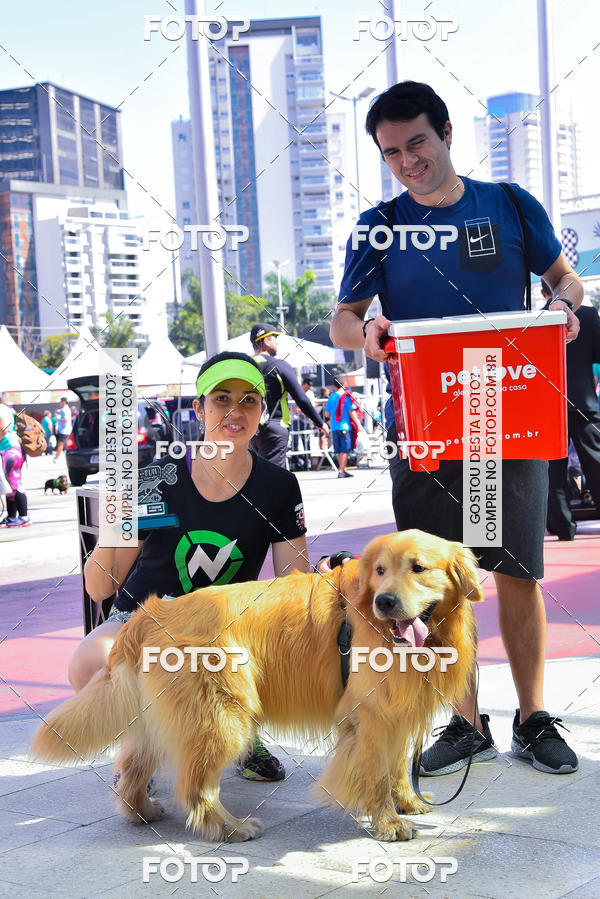 Buy your photos of the event2� Pet Run Shopping Eldorado  on Fotop