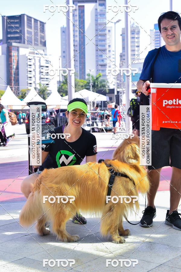Buy your photos of the event2� Pet Run Shopping Eldorado  on Fotop
