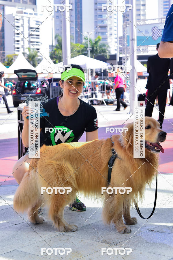 Buy your photos of the event2� Pet Run Shopping Eldorado  on Fotop