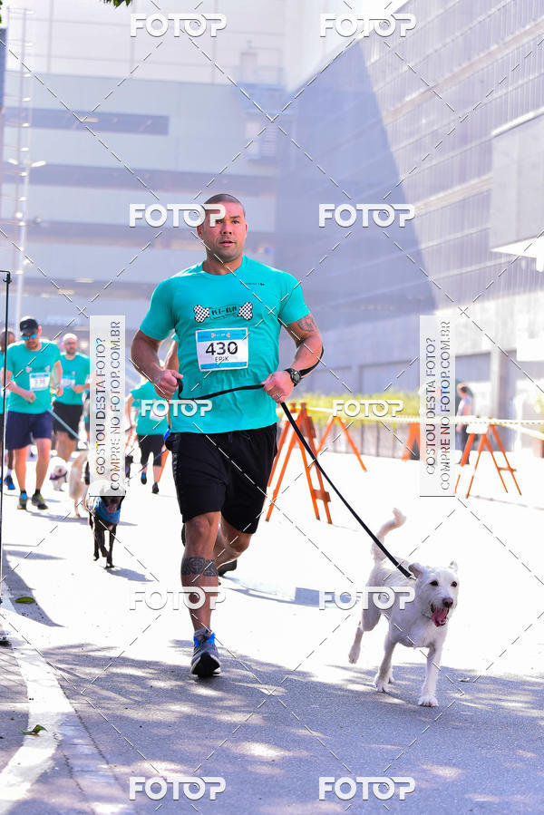 Buy your photos of the event2 Pet Run Shopping Eldorado  on Fotop