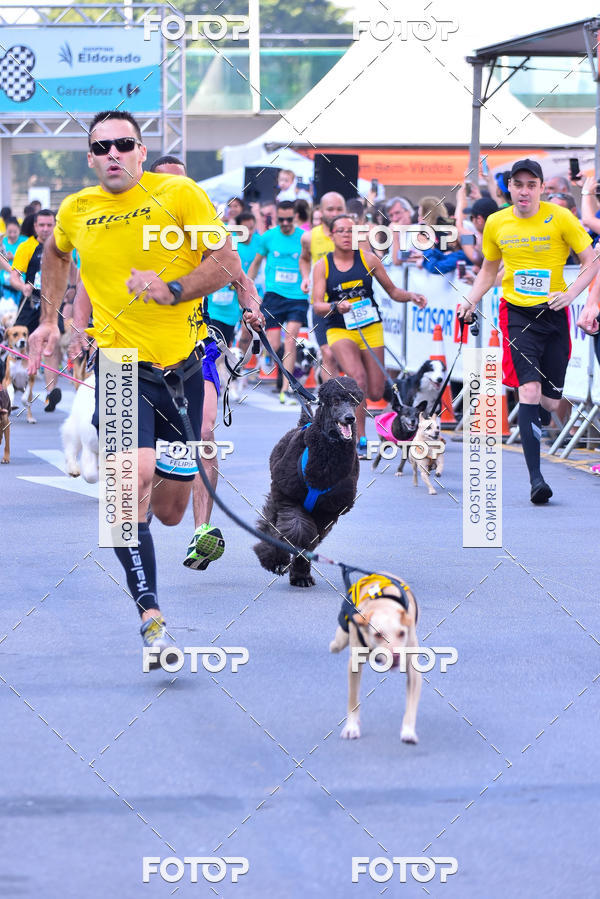 Buy your photos of the event2� Pet Run Shopping Eldorado  on Fotop