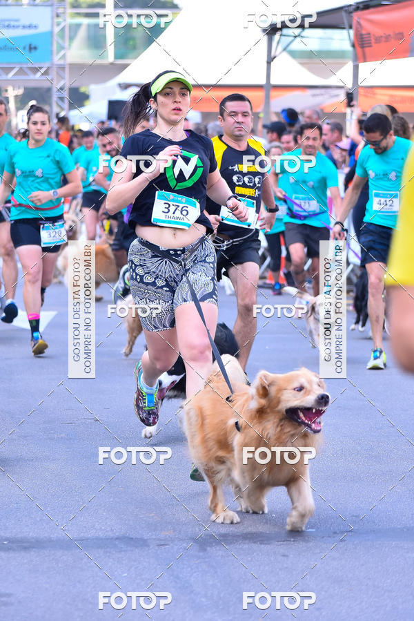 Buy your photos of the event2� Pet Run Shopping Eldorado  on Fotop