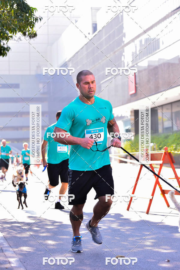 Buy your photos of the event2 Pet Run Shopping Eldorado  on Fotop