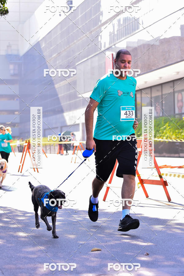 Buy your photos of the event2 Pet Run Shopping Eldorado  on Fotop