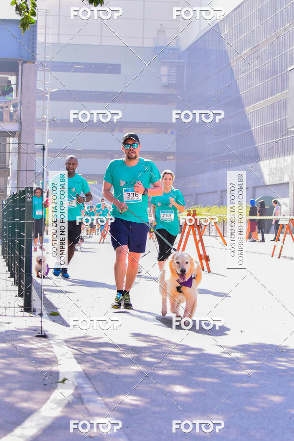 Buy your photos of the event2 Pet Run Shopping Eldorado  on Fotop