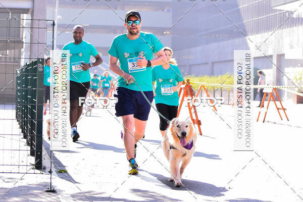 Buy your photos of the event2 Pet Run Shopping Eldorado  on Fotop