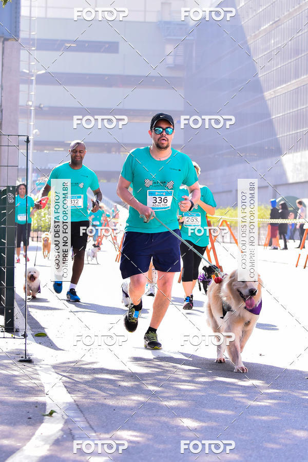Buy your photos of the event2 Pet Run Shopping Eldorado  on Fotop