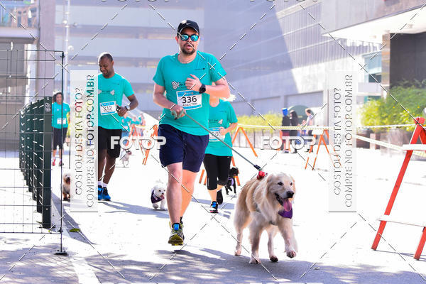 Buy your photos of the event2 Pet Run Shopping Eldorado  on Fotop