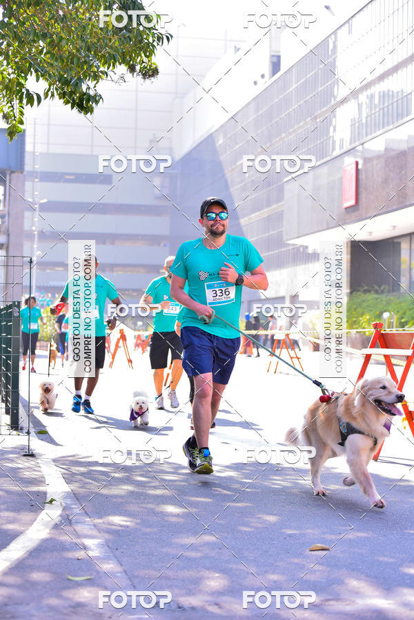 Buy your photos of the event2 Pet Run Shopping Eldorado  on Fotop