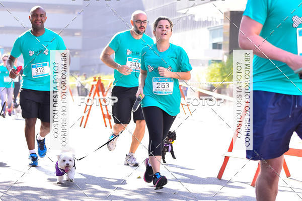 Buy your photos of the event2 Pet Run Shopping Eldorado  on Fotop