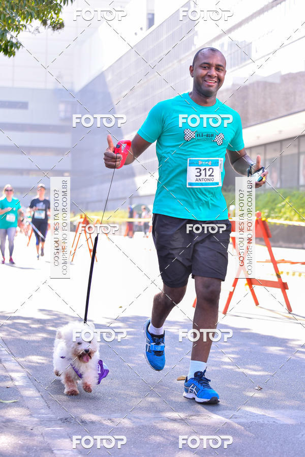 Buy your photos of the event2 Pet Run Shopping Eldorado  on Fotop