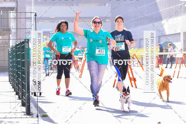 Buy your photos of the event2 Pet Run Shopping Eldorado  on Fotop