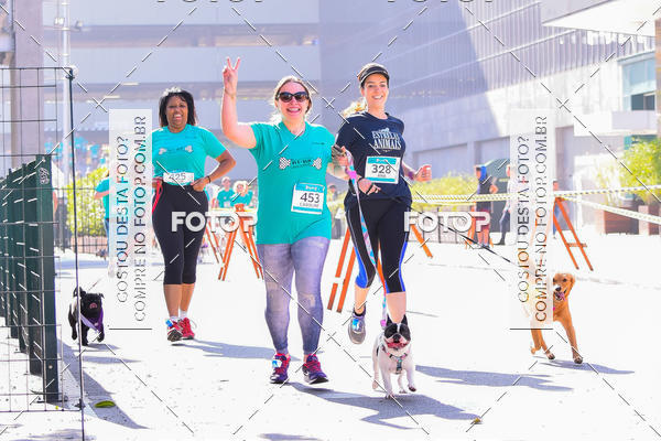 Buy your photos of the event2 Pet Run Shopping Eldorado  on Fotop