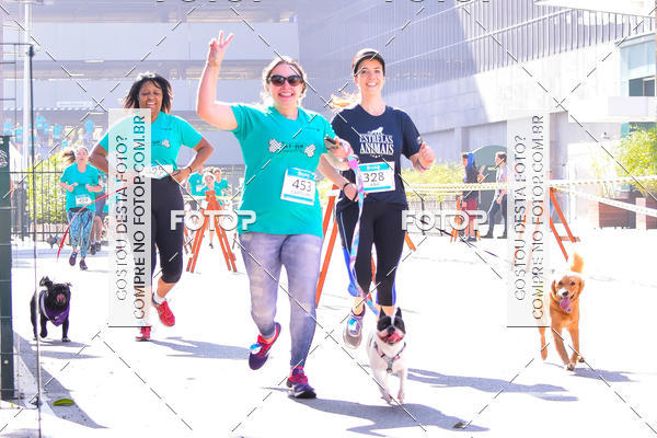 Buy your photos of the event2 Pet Run Shopping Eldorado  on Fotop