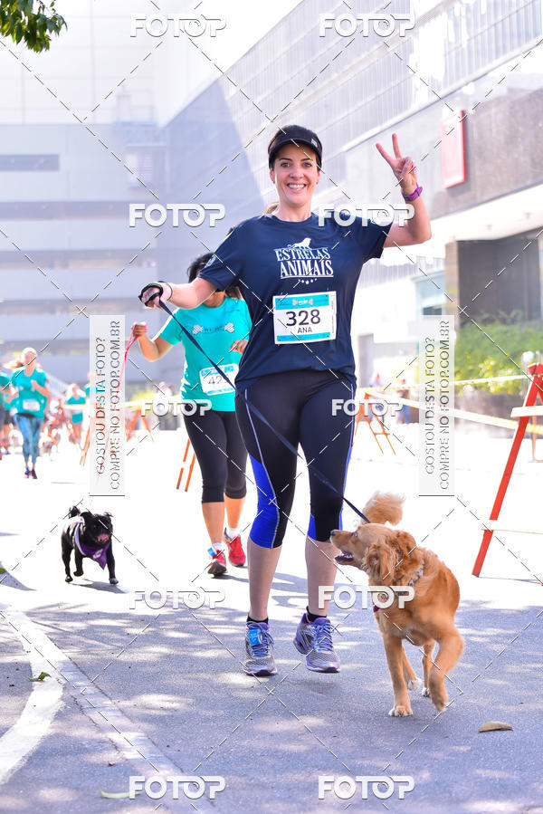 Buy your photos of the event2 Pet Run Shopping Eldorado  on Fotop