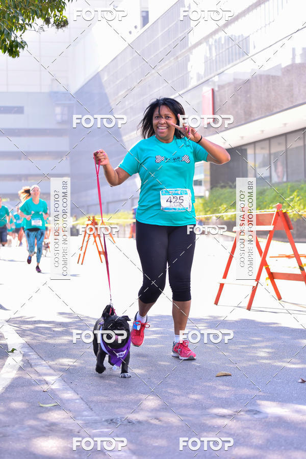 Buy your photos of the event2 Pet Run Shopping Eldorado  on Fotop