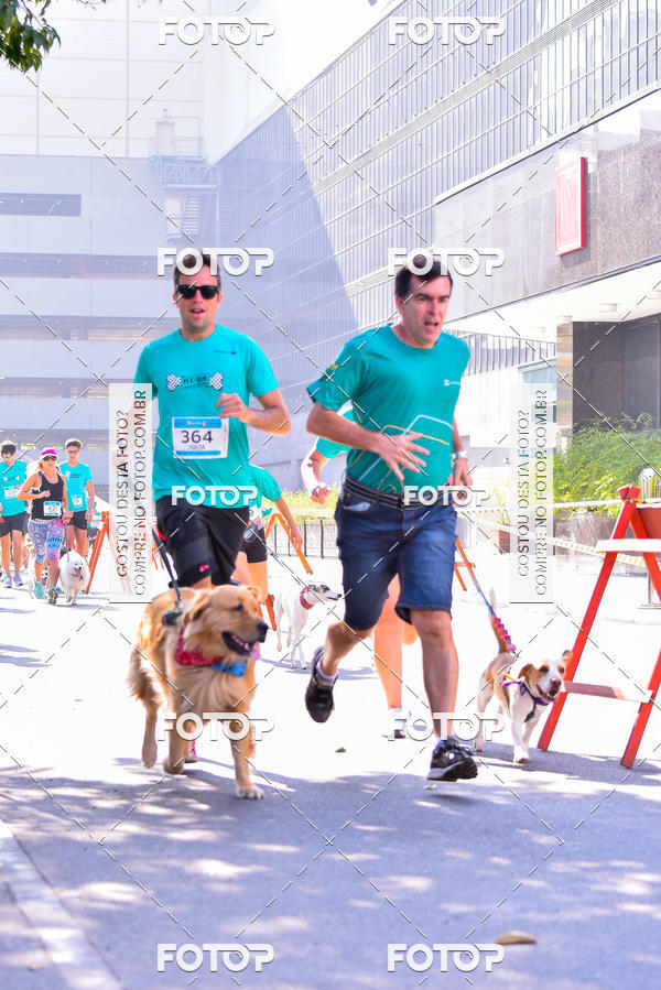 Buy your photos of the event2 Pet Run Shopping Eldorado  on Fotop