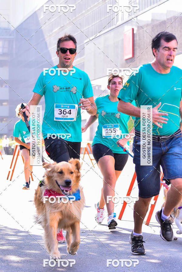 Buy your photos of the event2 Pet Run Shopping Eldorado  on Fotop