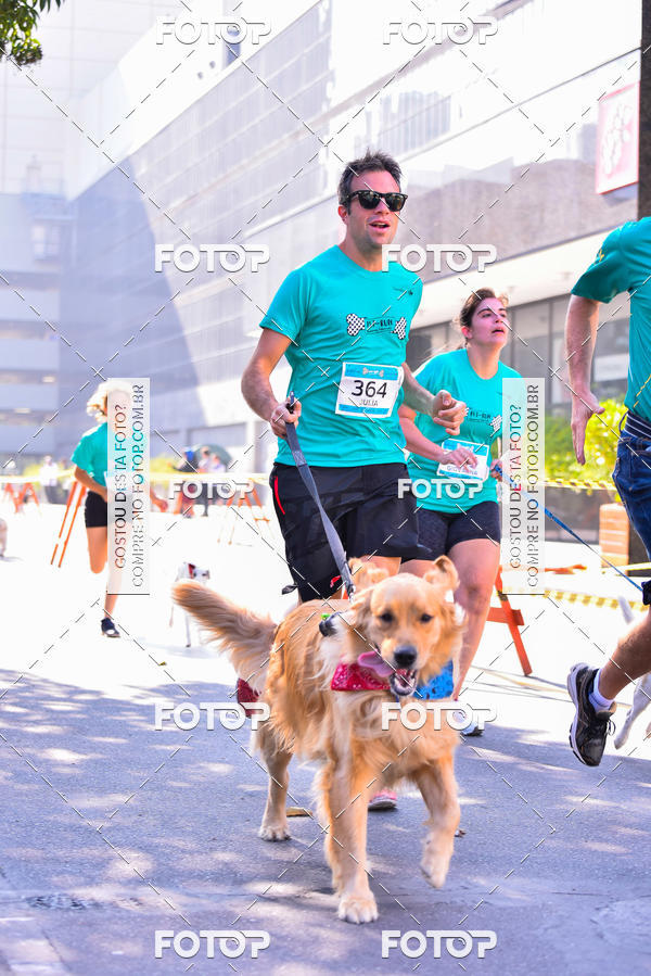 Buy your photos of the event2 Pet Run Shopping Eldorado  on Fotop