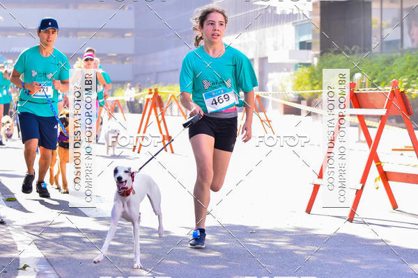 Buy your photos of the event2 Pet Run Shopping Eldorado  on Fotop