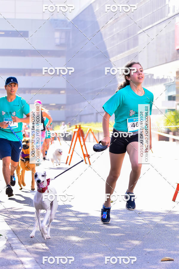 Buy your photos of the event2 Pet Run Shopping Eldorado  on Fotop