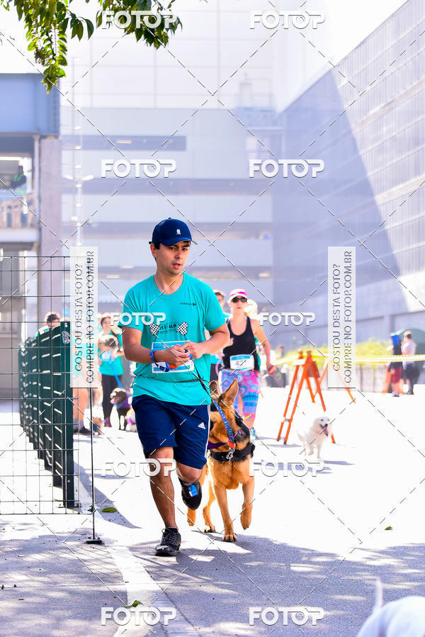 Buy your photos of the event2 Pet Run Shopping Eldorado  on Fotop