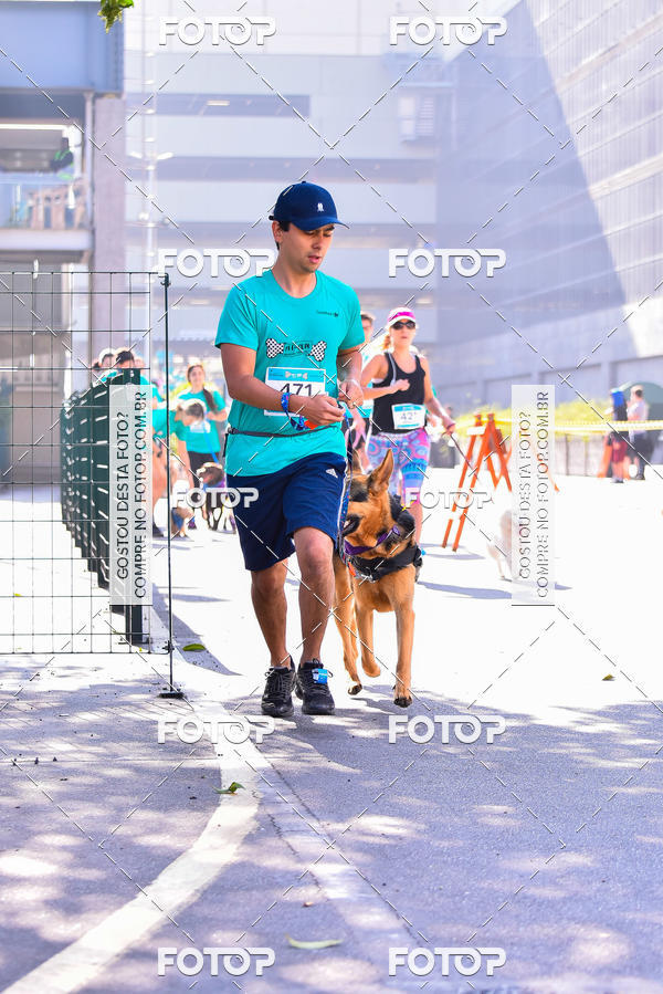 Buy your photos of the event2 Pet Run Shopping Eldorado  on Fotop
