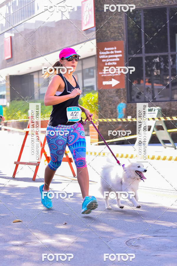 Buy your photos of the event2 Pet Run Shopping Eldorado  on Fotop