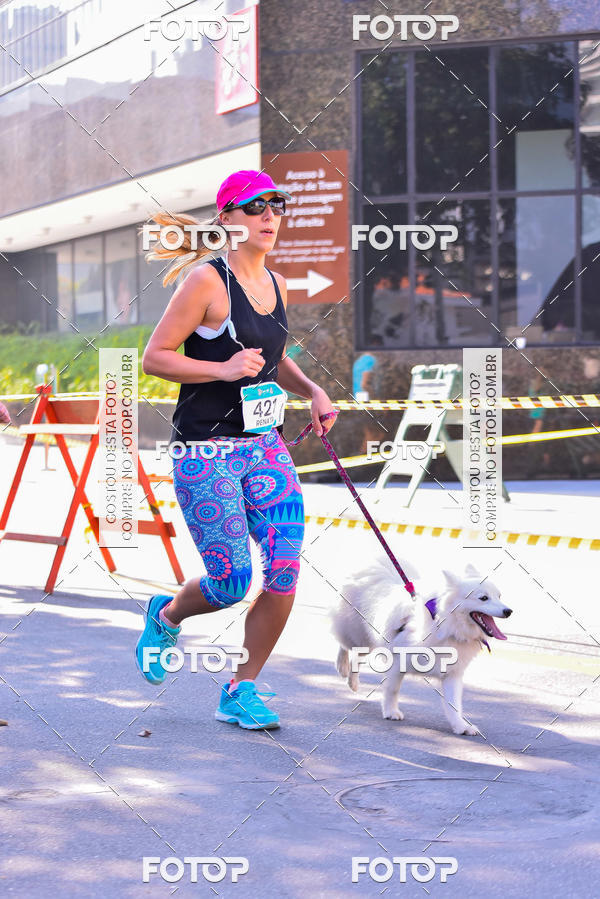 Buy your photos of the event2 Pet Run Shopping Eldorado  on Fotop