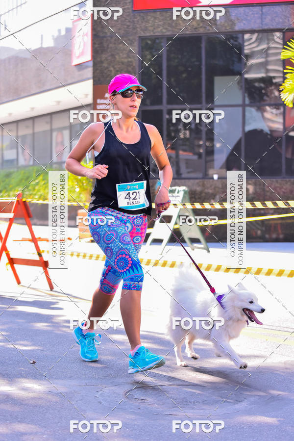 Buy your photos of the event2 Pet Run Shopping Eldorado  on Fotop