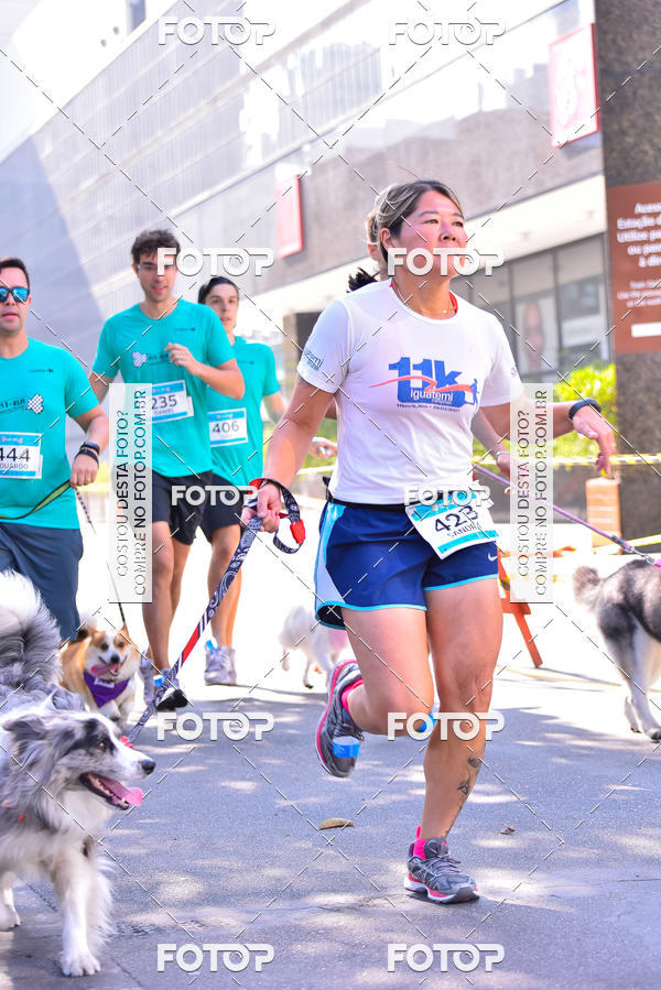 Buy your photos of the event2 Pet Run Shopping Eldorado  on Fotop