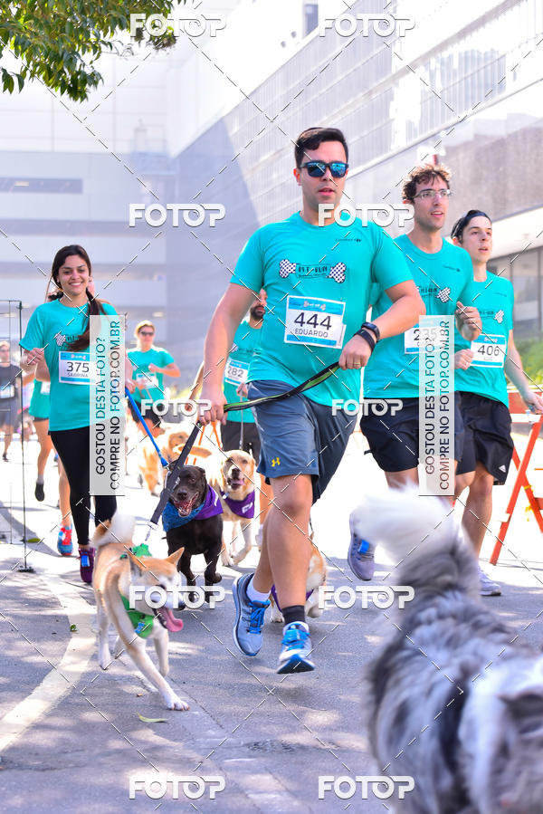 Buy your photos of the event2 Pet Run Shopping Eldorado  on Fotop