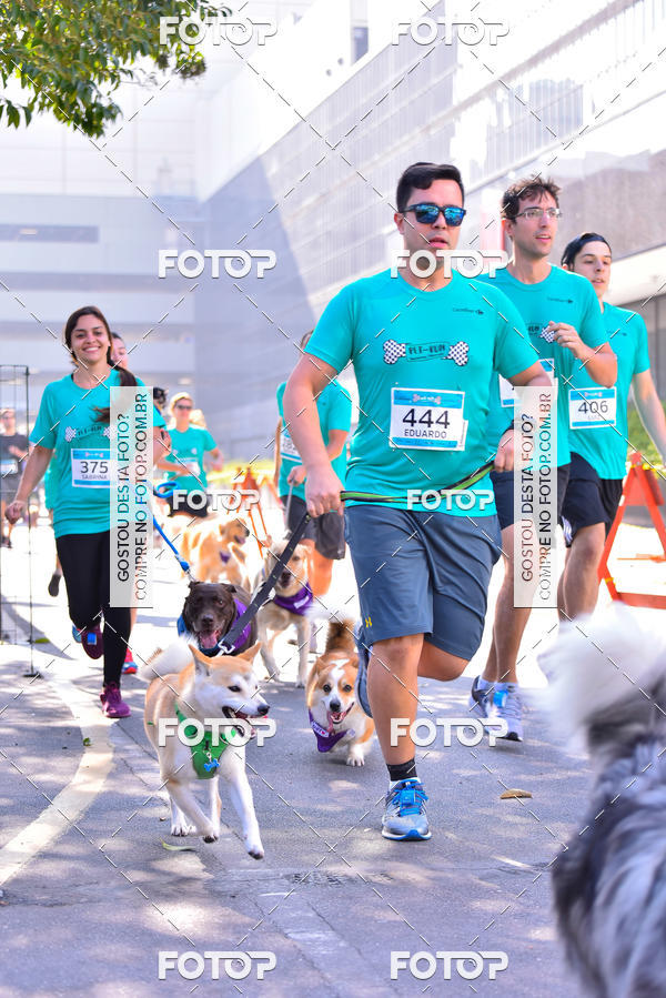 Buy your photos of the event2 Pet Run Shopping Eldorado  on Fotop