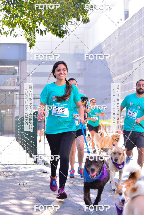 Buy your photos of the event2 Pet Run Shopping Eldorado  on Fotop