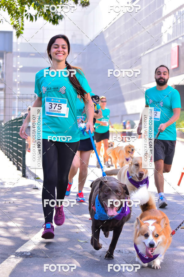 Buy your photos of the event2 Pet Run Shopping Eldorado  on Fotop