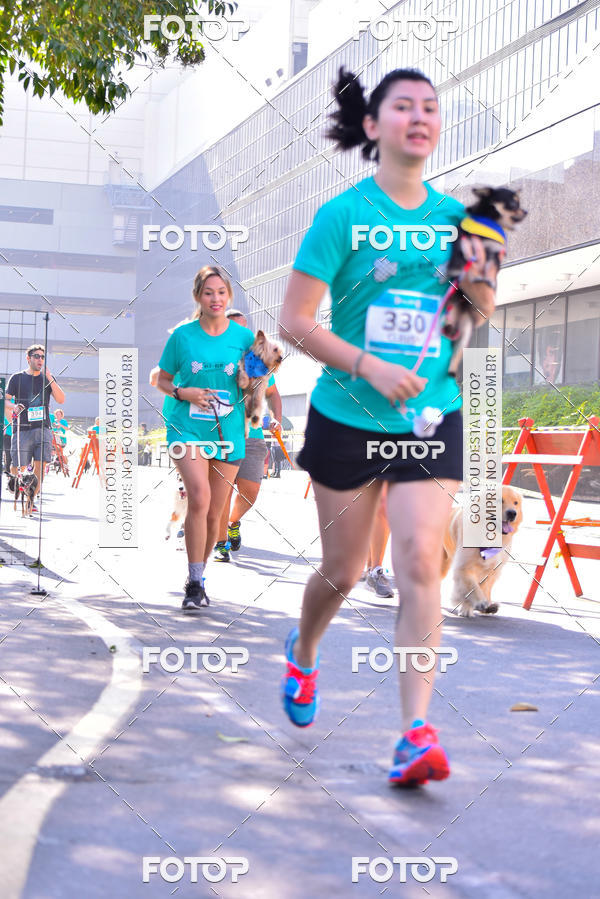 Buy your photos of the event2 Pet Run Shopping Eldorado  on Fotop