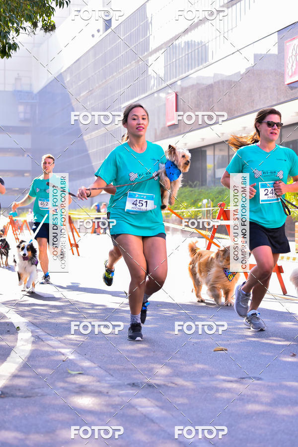 Buy your photos of the event2 Pet Run Shopping Eldorado  on Fotop