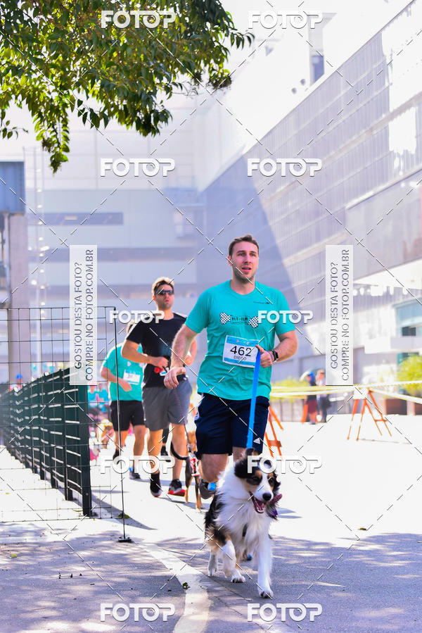 Buy your photos of the event2 Pet Run Shopping Eldorado  on Fotop