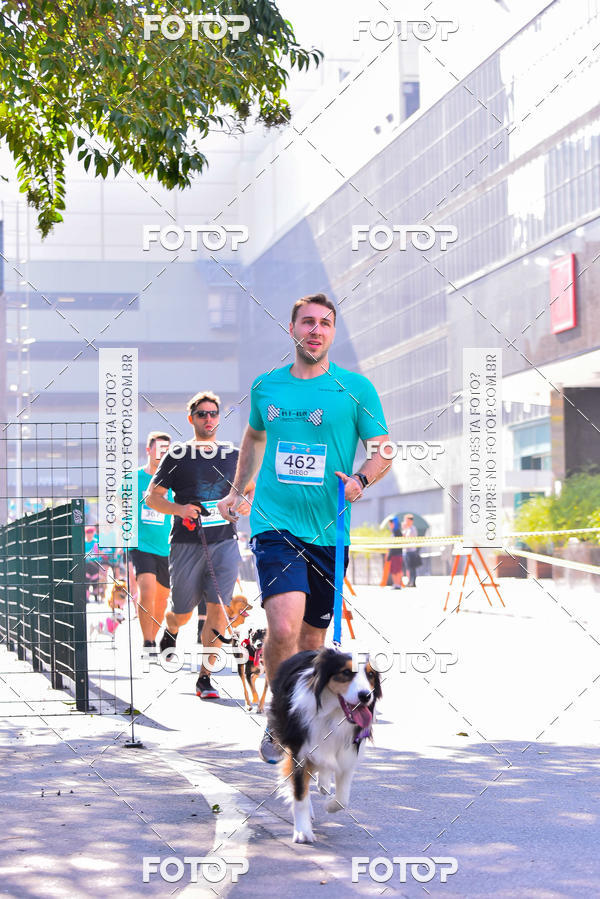Buy your photos of the event2 Pet Run Shopping Eldorado  on Fotop