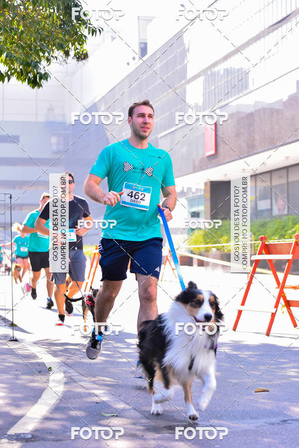 Buy your photos of the event2 Pet Run Shopping Eldorado  on Fotop