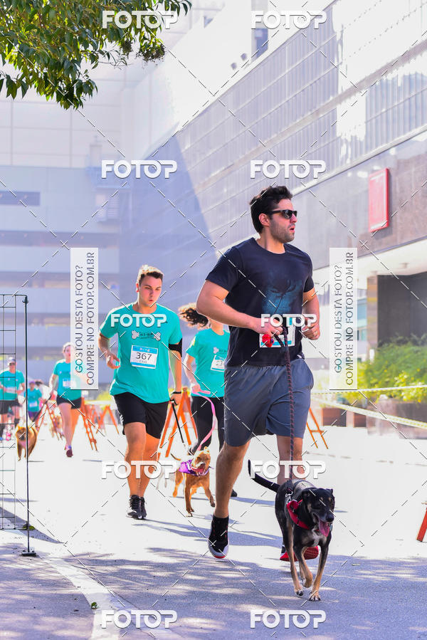 Buy your photos of the event2 Pet Run Shopping Eldorado  on Fotop