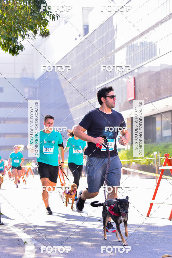 Buy your photos of the event2 Pet Run Shopping Eldorado  on Fotop