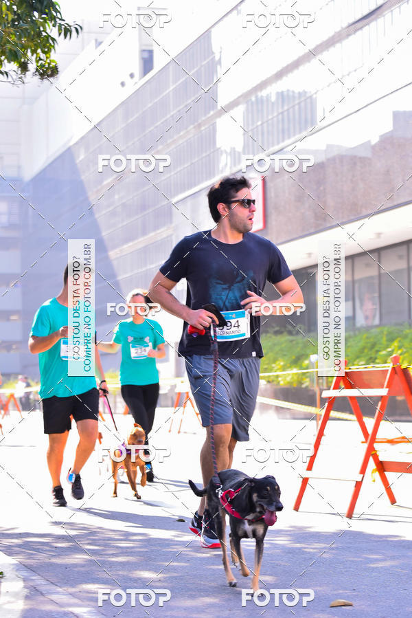 Buy your photos of the event2 Pet Run Shopping Eldorado  on Fotop
