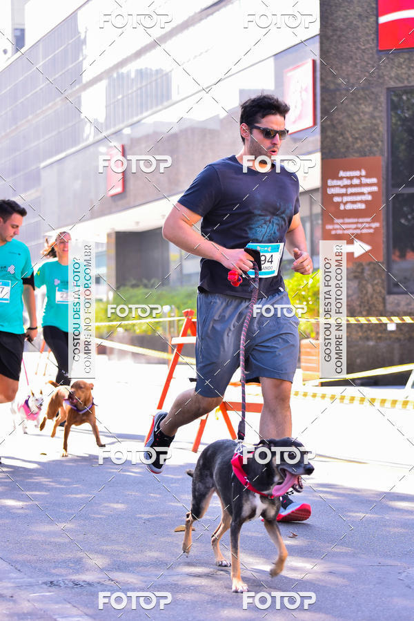 Buy your photos of the event2 Pet Run Shopping Eldorado  on Fotop