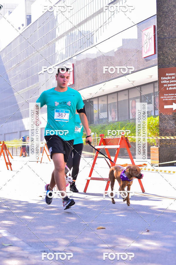 Buy your photos of the event2 Pet Run Shopping Eldorado  on Fotop